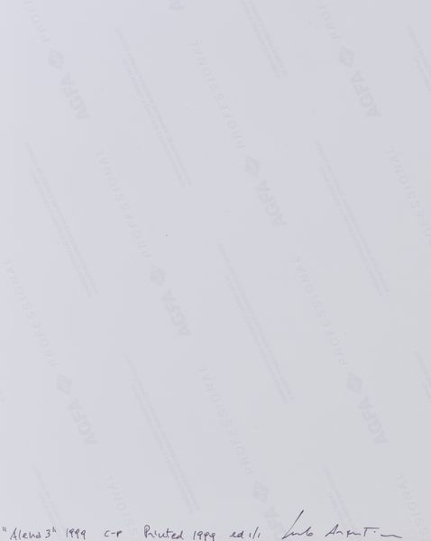 ARGENTINI GUIDO (n. 1966) : ALENA 3, 1999  - Asta Asta 446 | GRAFICA MODERNA, FOTOGRAFIA E MULTIPLI D'AUTORE Online - Associazione Nazionale - Case d'Asta italiane