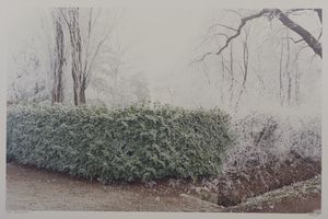 GHIRRI LUIGI (1943 - 1992) - IL PROFILO DELLE NUVOLE - FOMIGINE, 1989