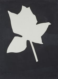 KOUNELLIS JANNIS (n. 1936) - SENZA TITOLO (FIORE BIANCO)