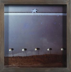 ZAZA MICHELE (n. 1948) : CELESTE, 1978  - Asta Asta 446 | GRAFICA MODERNA, FOTOGRAFIA E MULTIPLI D'AUTORE Online - Associazione Nazionale - Case d'Asta italiane