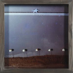 ZAZA MICHELE (n. 1948) : CELESTE, 1978  - Asta Asta 446 | GRAFICA MODERNA, FOTOGRAFIA E MULTIPLI D'AUTORE Online - Associazione Nazionale - Case d'Asta italiane