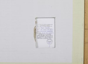 ACCARDI CARLA (1924 - 2014) : LA RICERCA DEL COLORE (GIALLO)  - Asta Asta 446 | GRAFICA MODERNA, FOTOGRAFIA E MULTIPLI D'AUTORE Online - Associazione Nazionale - Case d'Asta italiane