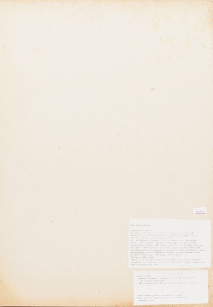 VICTOR VASARELY : Elementi cinetici  - Asta Multipli e grafica internazionale - Associazione Nazionale - Case d'Asta italiane