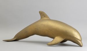 OMAR RONDA - Delfino