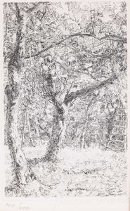 GIOVANNI BARBISAN - Senza titolo