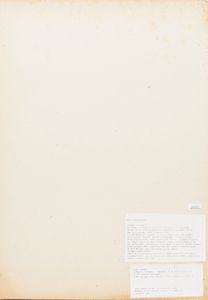 VICTOR VASARELY : Elementi cinetici  - Asta Multipli e grafica internazionale - Associazione Nazionale - Case d'Asta italiane