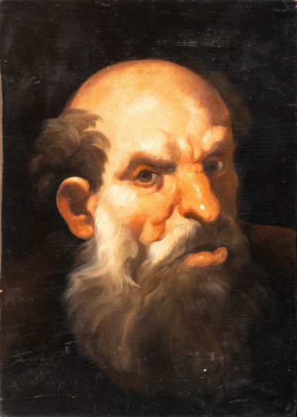 Pier Francesco Guala, Attribuito a : Testa di anziano con barba  - Asta Dipinti antichi dal XIV al XIX secolo. Con una selezione di sculture - Associazione Nazionale - Case d'Asta italiane