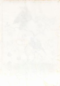 Herman Henstenburgh : Natura viva con uccelli e tartaruga  - Asta Dipinti antichi dal XIV al XIX secolo. Con una selezione di sculture - Associazione Nazionale - Case d'Asta italiane