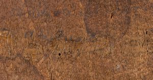 Scuola fiorentina, secondo quarto del XVI secolo : Sacra Famiglia  - Asta Dipinti antichi dal XIV al XIX secolo. Con una selezione di sculture - Associazione Nazionale - Case d'Asta italiane