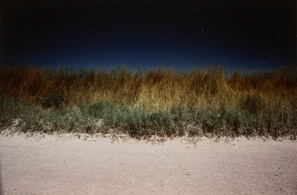 Franco Fontana : Paesaggio, Emilia  - Asta Fotografia - Associazione Nazionale - Case d'Asta italiane