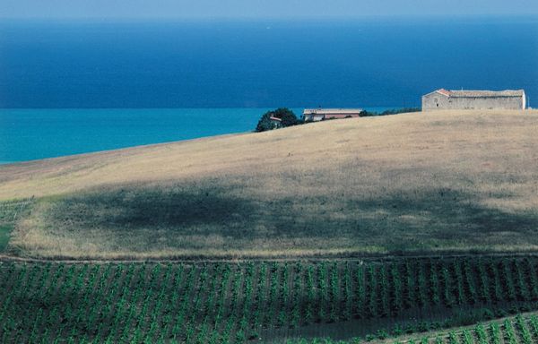 Franco Fontana : Paesaggio, Sicilia  - Asta Fotografia - Associazione Nazionale - Case d'Asta italiane