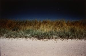 Franco Fontana - Paesaggio, Emilia