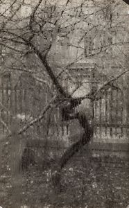Josef Sudek - La finestra del mio laboratorio