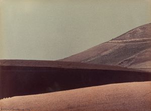 Franco Fontana - Senza titolo (Paesaggio)
