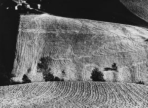 Mario Giacomelli - Presa di coscienza sulla natura