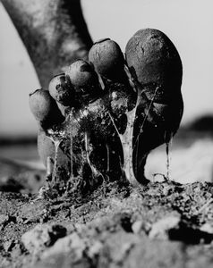 Gian Paolo   Barbieri - La Fabbrica del Sisal, Madagascar
