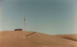 Riccardo Moncalvo - Palo