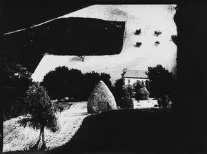 Mario Giacomelli - Presa di coscienza sulla natura