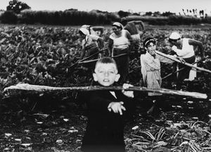 Mario Giacomelli - La Buona Terra