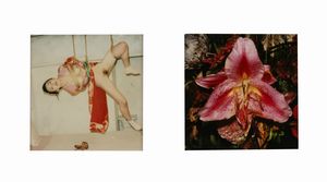 NOBUYOSHI ARAKI - Senza titolo (Bondage e Fiore)
