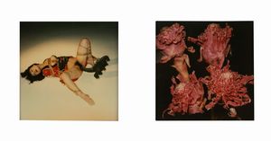 NOBUYOSHI ARAKI - Senza titolo (Bondage e Fiore)