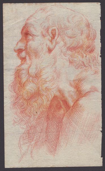 Testa di anziano barbuto  - Asta Disegni, Stampe e Carte Geografiche dal XVI al XIX secolo - Associazione Nazionale - Case d'Asta italiane