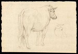 Francesco Londonio, Attribuito a - Studio di bue