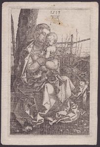 Albrecht Dürer, copia da - Madonna col bambino sotto un albero