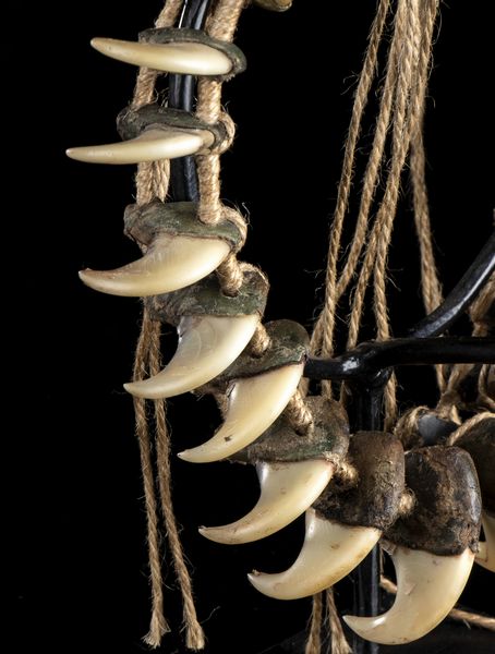 . : Collana da guerriero composta da diciotto unghie di animale intatte legate da corda vegetale.  - Asta Asta 450 | WUNDERKAMMER, CURIOSITIES & ETNOGRAFICA - A GENTLEMAN' S CABINET OF CURIOSITIES Online - Associazione Nazionale - Case d'Asta italiane