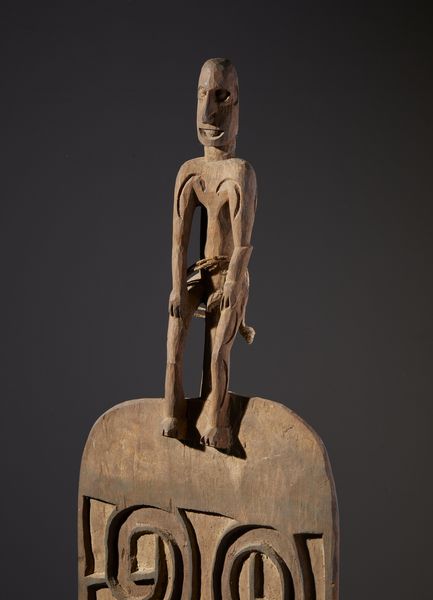 . : Scudo da guerra in legno inciso e dipinto arricchito da fibre vegetali, proveniente dalla cultura Asmat. Papua Nuova Guinea, XIX secolo.  - Asta Asta 450 | WUNDERKAMMER, CURIOSITIES & ETNOGRAFICA - A GENTLEMAN' S CABINET OF CURIOSITIES Online - Associazione Nazionale - Case d'Asta italiane