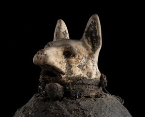 . : Sarcofago di mummia di sciacallo in materiale vegetale argilloso.Egitto Antico, periodo Tolemaico (V-IV sec a.C.).  - Asta Asta 450 | WUNDERKAMMER, CURIOSITIES & ETNOGRAFICA - A GENTLEMAN' S CABINET OF CURIOSITIES Online - Associazione Nazionale - Case d'Asta italiane