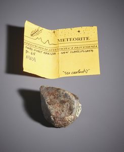 . - Meteorite NWA con certificato di autenticit. Africa.