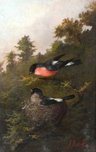 Meucci Michelangelo - Uccellini nel nido, 1896