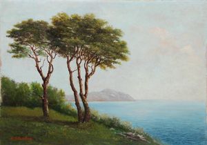 Haseltine William Stanley - Veduta del monte di Portofino