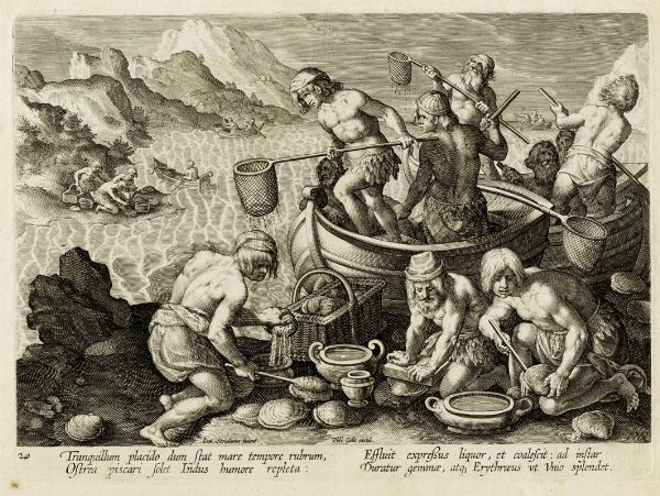 PHILIPS GALLE : La pesca delle ostriche giganti.  - Asta Arte Antica [Parte I] - Associazione Nazionale - Case d'Asta italiane