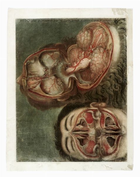 JACQUES-FABIEN GAUTIER D'AGOTY : Quattro tavole da Myologie Complette.  - Asta Arte Antica [Parte I] - Associazione Nazionale - Case d'Asta italiane