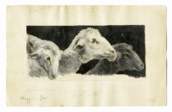 Giulio Aristide Sartorio : Raccolta di disegni originali per Le feste romane di Ruggero Bonghi illustrate da Giulio Aristide Sartorio e Ugo Fleres. Milano, Hoepli, 1891.  - Asta Arte Moderna e Contemporanea [Parte II] - Associazione Nazionale - Case d'Asta italiane