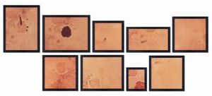 Alberto Garutti - senza titolo