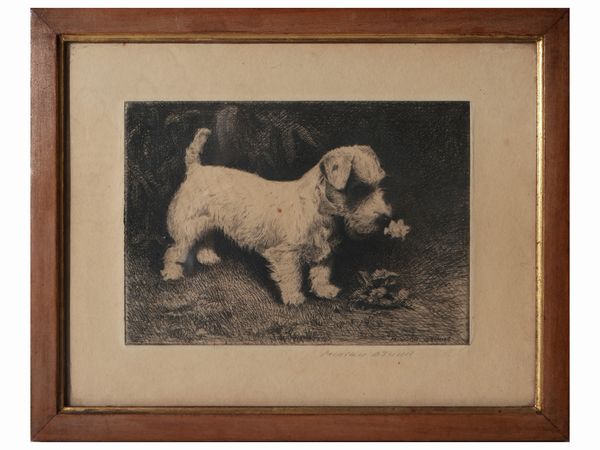 Cane con fiore  - Asta La casa moderna  - Associazione Nazionale - Case d'Asta italiane