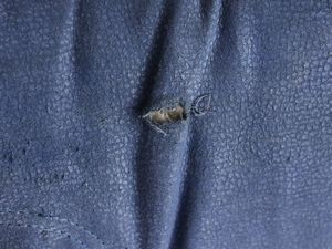 Poltrona letto Anfibio, Alessandro Becchi per Giovannetti  - Asta La casa moderna  - Associazione Nazionale - Case d'Asta italiane