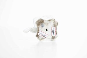 Figurina di putto.<BR>Vienna, Manifattura Imperiale, 1750 circa.  - Asta Maioliche e Porcellane da Collezione - Associazione Nazionale - Case d'Asta italiane