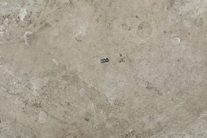 Centrotavola. Argenteria italiana del XX secolo, bollo dell'argentiere assente  - Asta Argenti - Associazione Nazionale - Case d'Asta italiane