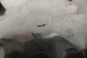 Servizio da tè e caffè. Argenteria italiana del XX secolo, argentiere L.A.M. di Segre & C., Vercelli  - Asta Argenti - Associazione Nazionale - Case d'Asta italiane