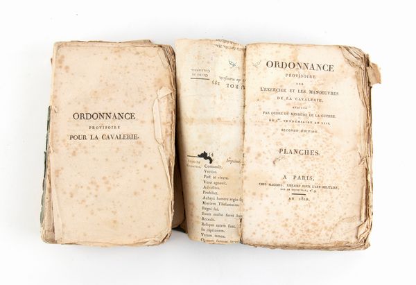 Ordonnance L'excercice manovra de la cavalerie  - testo e planches 1810  - Asta Militaria, Ordini cavallereschi, Napoleonica - Associazione Nazionale - Case d'Asta italiane