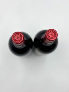 Chteau Palmer, Alter Ego de Palmer, 2019  - Asta Vini Rossi: grandi etichette d'Italia e Francia. Con una selezione di vini bianchi e champagne - Associazione Nazionale - Case d'Asta italiane