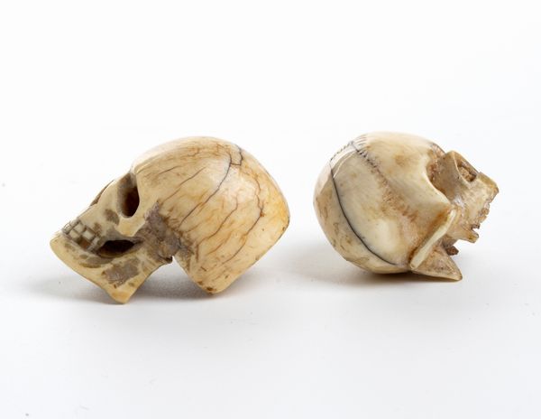 Due teschi in avorio marino  - Asta Argenti, avori, coralli e altri oggetti d'arte provenienti da importanti collezioni private - Associazione Nazionale - Case d'Asta italiane