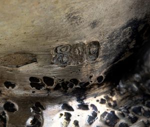 Coppia di composizioni scultoree italiane raffiguranti putti artisti  - Asta Argenti, avori, coralli e altri oggetti d'arte provenienti da importanti collezioni private - Associazione Nazionale - Case d'Asta italiane