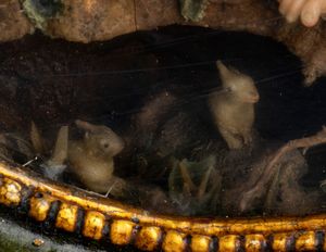 Coppia di ceroplastiche italiane  - Asta Argenti, avori, coralli e altri oggetti d'arte provenienti da importanti collezioni private - Associazione Nazionale - Case d'Asta italiane