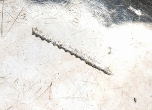 Importante zuppiera siciliana in argento  - Asta Argenti, avori, coralli e altri oggetti d'arte provenienti da importanti collezioni private - Associazione Nazionale - Case d'Asta italiane