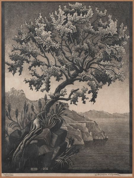 Maurits Cornelis Escher : L'albero del Carrubo  - Asta Arte Moderna e Contemporanea - Associazione Nazionale - Case d'Asta italiane